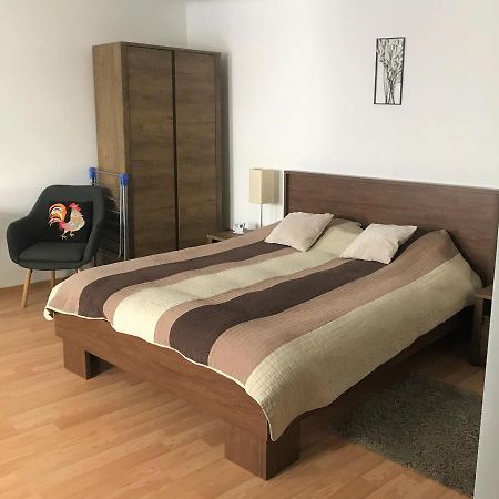 Silvia Studios Brašov Exteriér fotografie